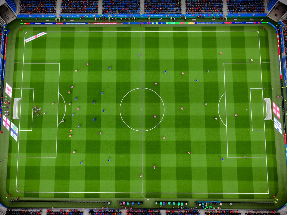 星空体育官网入口-体育新闻中心协助地方体育局开展内容传播工作，体育新闻的报道  第2张