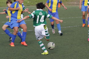 星空app官网下载-体育新闻中心发布体育内容原创度智能评估工具，体育新闻可视化  第2张